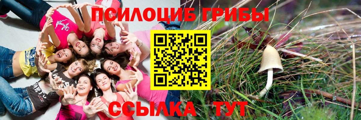 Галлюциногенные грибы MAGIC MUSHROOMS  Галлюциногенные грибы Psilocybine cubensis  Вход с VPN  Гудермес 