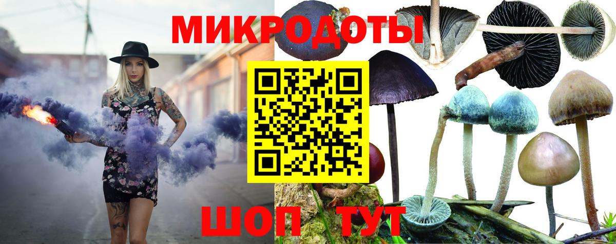 Галлюциногенные грибы мицелий Гудермес