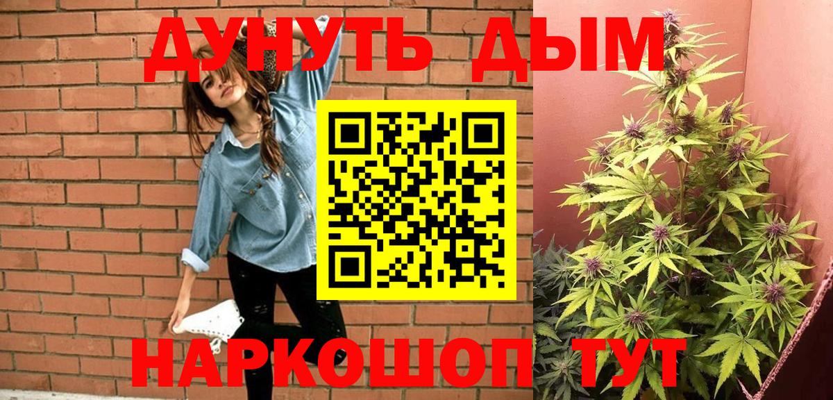 Бошки Шишки план Гудермес